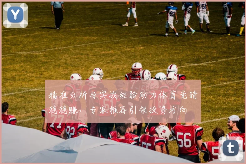 精准分析与实战经验助力体育竞猜稳稳赚，专家推荐引领投资方向