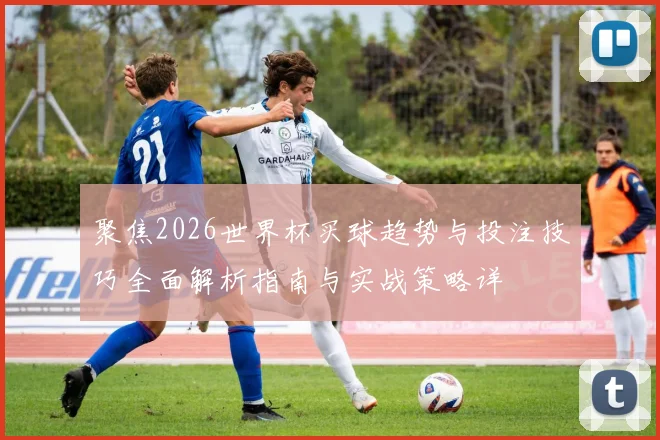 聚焦2026世界杯买球趋势与投注技巧全面解析指南与实战策略详