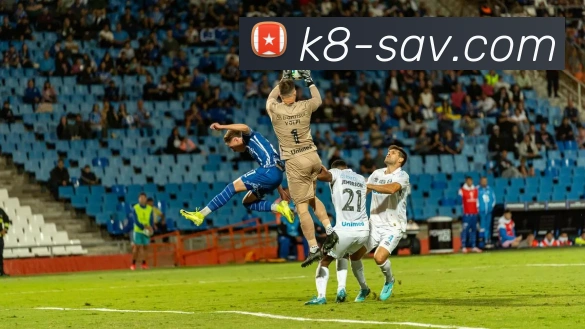 凯发娱乐平台展示图